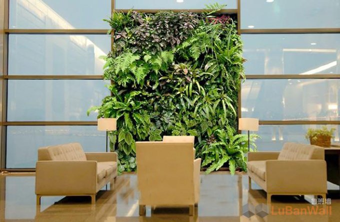玻璃隔断可以安装绿植吗?(图1) 玻璃隔断可以安装绿植吗?(图1)