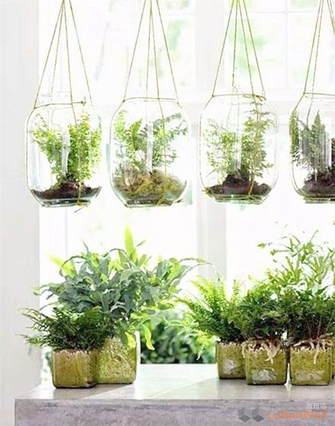 玻璃隔断可以安装绿植吗?(图2) 玻璃隔断可以安装绿植吗?(图2)